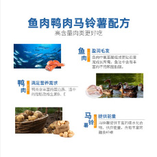 寵物生活