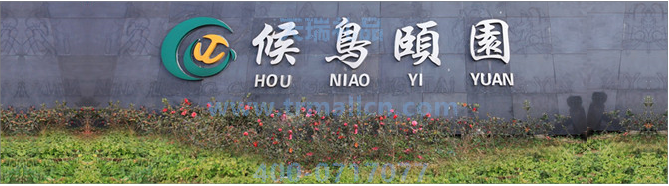 候鳥集團(tuán)