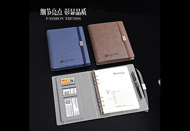 2020年本冊(cè)--變色PU革